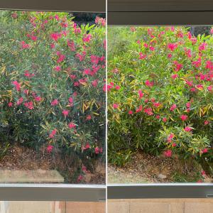 Nettoyage vitres et menuiseries